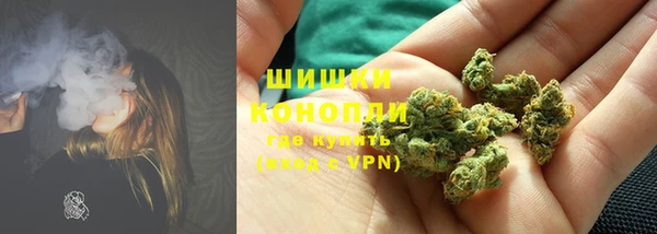 шишки Михайлов
