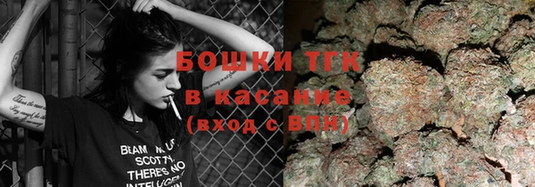 шишки Михайлов