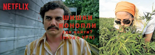 гидра Алексеевка