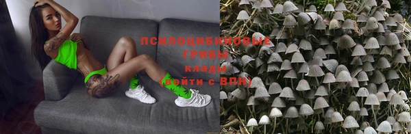 ПСИЛОЦИБИНОВЫЕ ГРИБЫ Михайловск