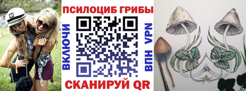 omg ТОР  Новая Усмань  Галлюциногенные грибы Psilocybine cubensis  где купить наркоту 